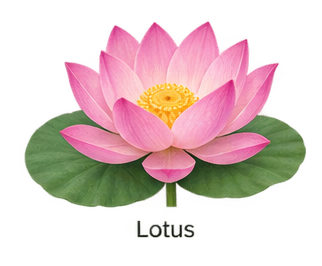 lotus